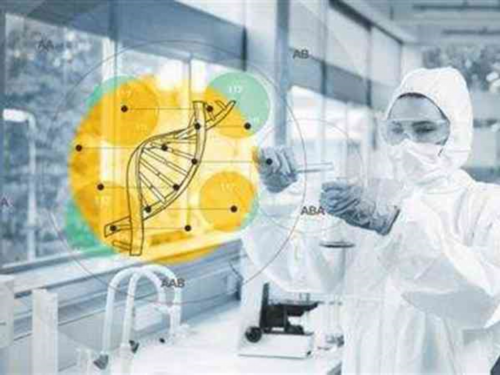 三代供卵试管_2026合法代孕_长沙权威代孕生殖 长沙正规供卵试管医院名单 ‘