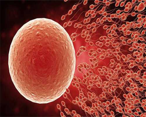 合肥试管婴儿医院价格贵么？合肥哪个医院做试管比较