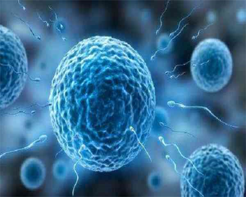 南昌代怀医院专家_20127_C1w93_果纳芬在冬天零下3度可以不放冰箱冷藏吗?_4038u