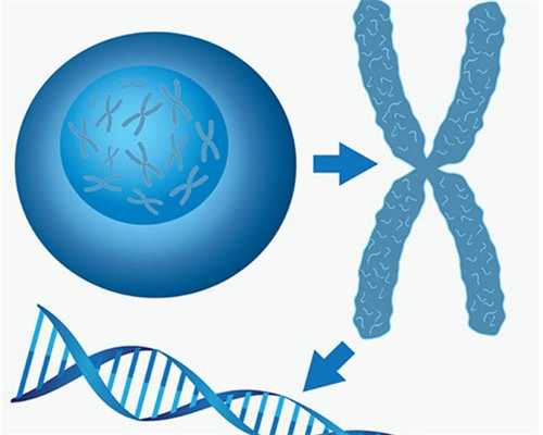 专业供卵价格表_2026世纪代妈_0F941_s062Y_女儿突发白血病，离婚父母违背伦理，为