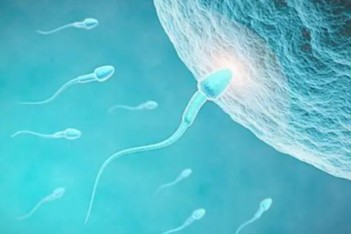 专业代生子中心_代生2026|云南可以做三代供卵试管的医院有哪些？附云南供卵试