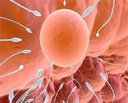 有信誉包成功代生_代生孩子安全|2026云南昆明安琪儿妇产医院试管婴儿攻略[2